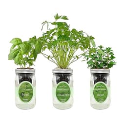 Bootstrap Farmer Premium Microgreen Starter Kit