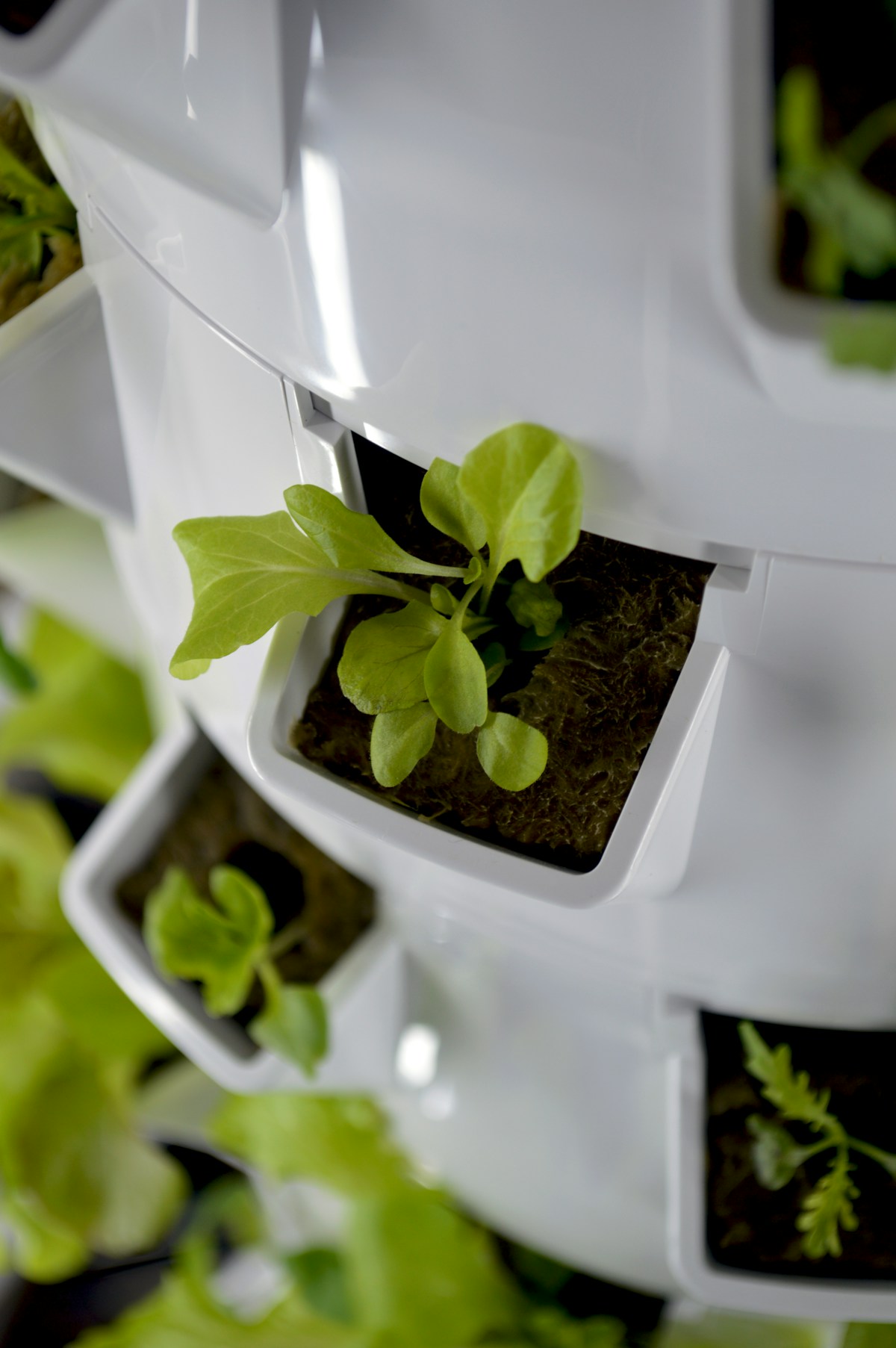 Best Aeroponic Tower Systems (2026)