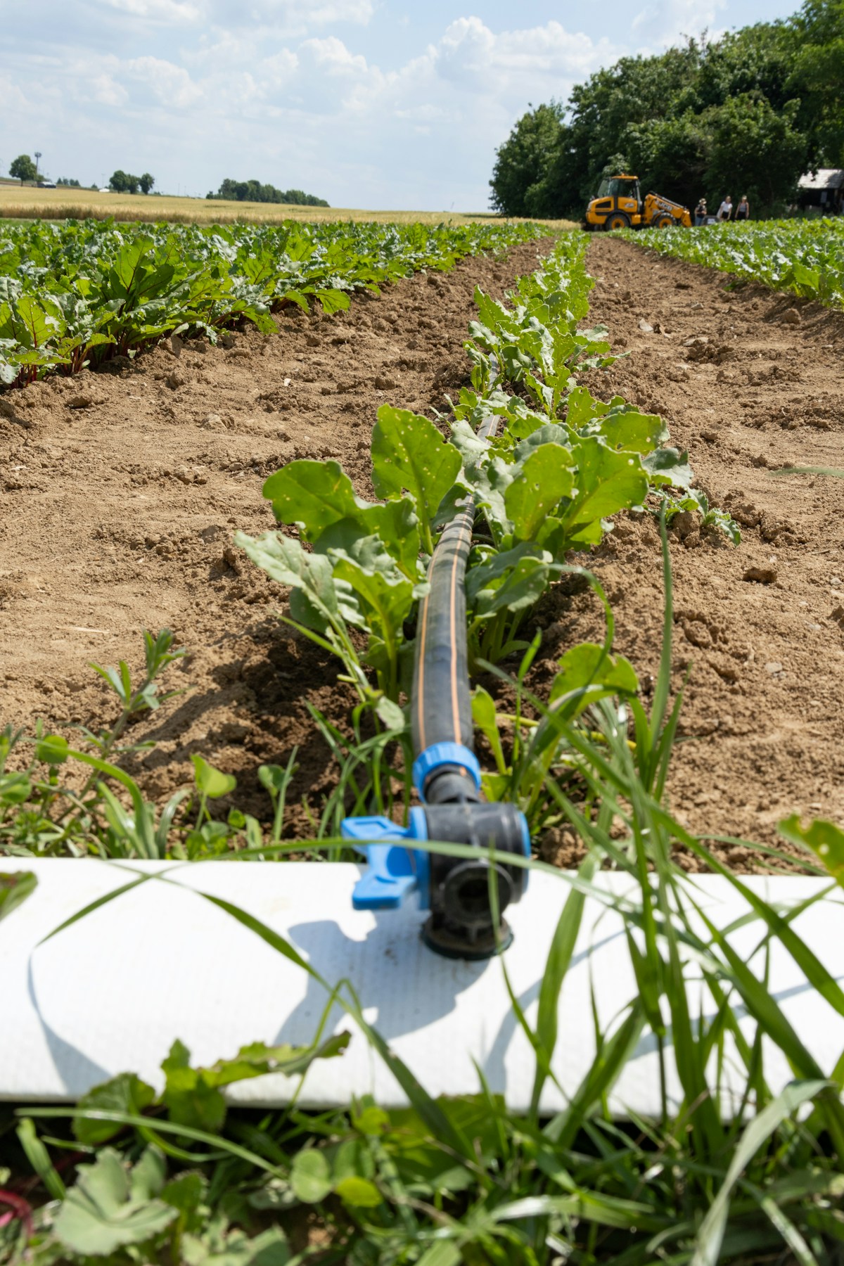 Ebb and Flow (Flood & Drain) Systems Explained