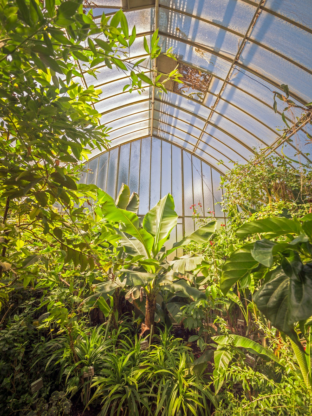 Temperature & Humidity Control for Indoor Growing