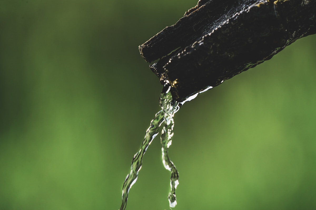 Water Quality for Soilless Growing